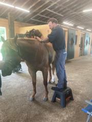 Animal Chiropractic Care Conway, SC 